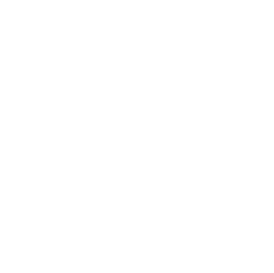 Dr. João