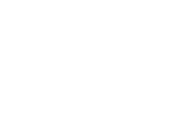 Singulari