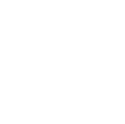 Dr. João